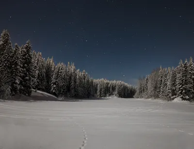 Зимняя ночь в деревне. Красивые фотографии со звёздным небом - Телеканал  «Моя Планета»