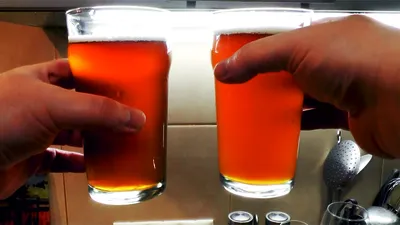 Glass Concept Бокалы приколы для пива и вина 50 мл миниатюрные