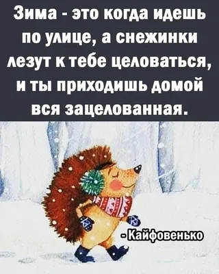 Юмор приколы - 👉Юмор позитив]]]👈Позитив на вес день 😉😉😉... | Facebook