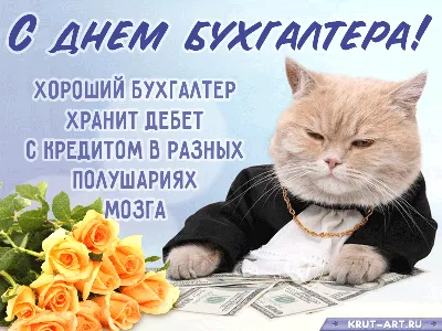 Веселые картинки про бухгалтеров фотографии