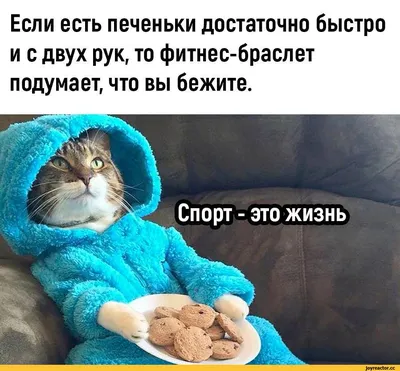 Фитнес | Пикабу