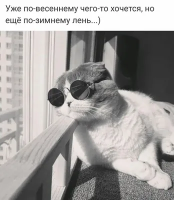 Мемы - л - лень.... | Facebook