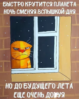Смешные Приколы Про Мужчин | Russian Memes Today | Дзен