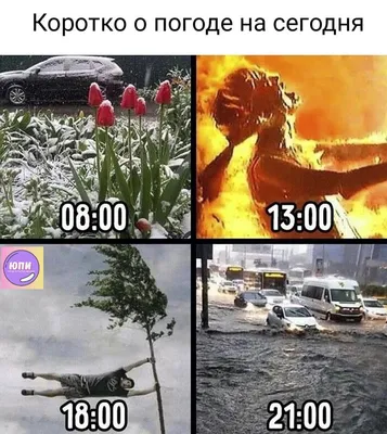 Как никогда актуально: лучшие мемы про погоду