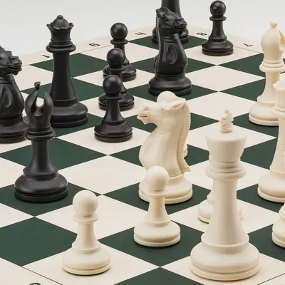 Шахматы купить по низкой цене, Красивые шахматы Manopoulos Греко-римские  коричневые 44х44 см цена