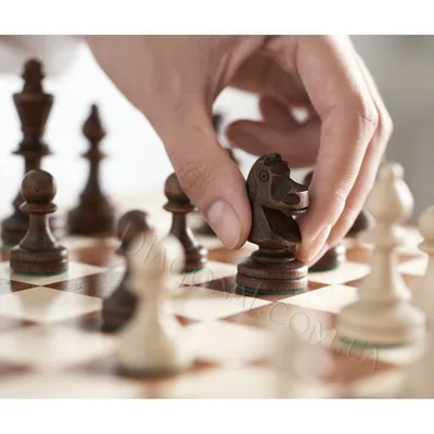 Интересные факты про шахматы | Магазин подарков. Нарды, шахматы, четки. |  Дзен
