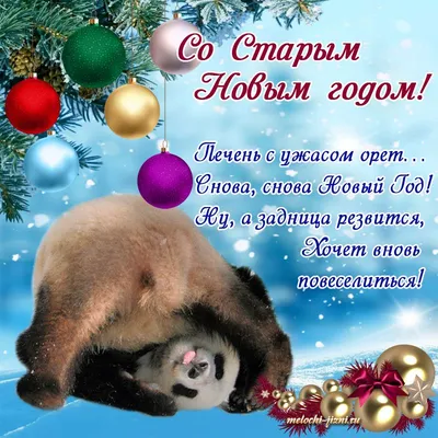Веселые картинки про старый новый год фотографии