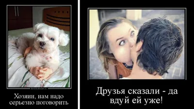 анекдот #вторник #шутки #юмор #сарказм #нашапсихология | Instagram