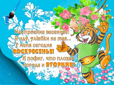 юмор@author_today Когда наступают выходные :) Сегодня, правда, вторник, но  что ж поделать) | ВКонтакте