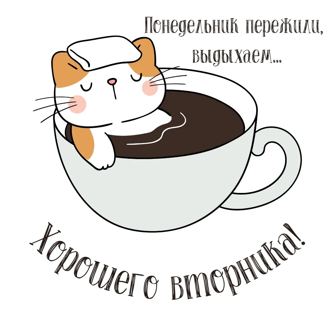 Прикольные открытки со вторником смешные
