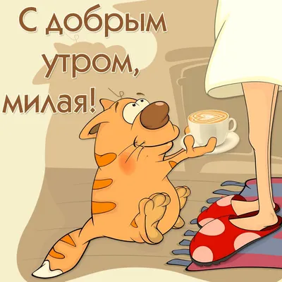 Веселые картинки с добрым утром фотографии
