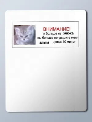 Коврик для мыши с принтом Разное Мемы (смешные, картинки, мем, meme, котик,  злюка) - 24738 - купить с доставкой по выгодным ценам в интернет-магазине  OZON (436426466)