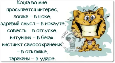 Прикольные статусы на все случаи жизни для социальных сетей: 50+ вариантов