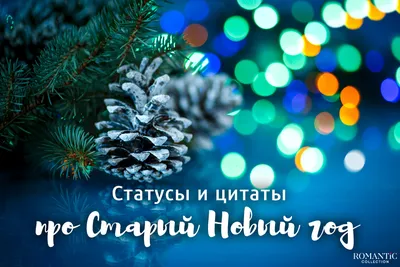 Поздравления с Новым годом 2015 в стихах: оригинальные, короткие и смешные  новогодние пожелания на год Овцы - Новости в десятку | Новости в десятку