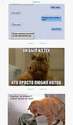 Улыбнись 2024 | ВКонтакте