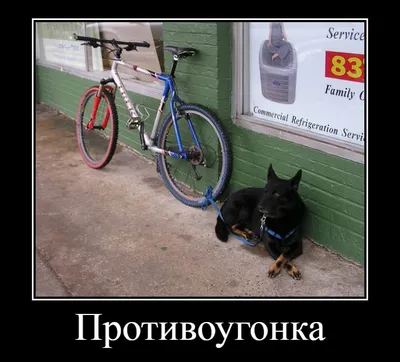 Пин от пользователя Макс на доске Велосипед | Велосипед, Веселые мемы,  Картинки