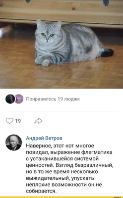 Разглядываем крутые фотки с матча 💪 📸 ВК «Локомотив» | Instagram