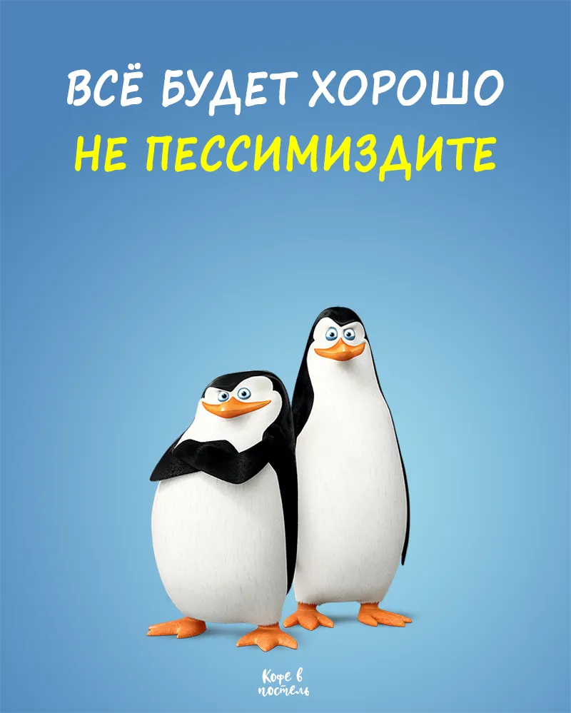 Все Будет Хорошо! | Пингвины, Юмор, Шутки