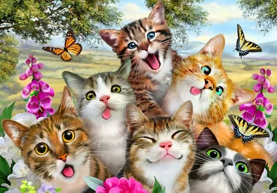 Бесплатные Смешные котята 5 стоковые фотографии | FreeImages