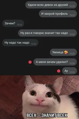 Пин от пользователя Bagira на доске ЮМОР, МЕМЫ/ Memes | Веселые мемы,  Смешные мемы, Рабочие приколы