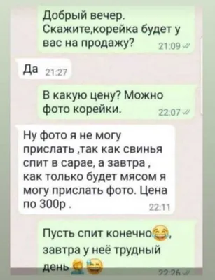 Организм: Хочу спать. Я: Ложусь спать. Организм: / котик блять :: смешные  картинки (фото приколы) / смешные картинки и другие приколы: комиксы, гиф  анимация, видео, лучший интеллектуальный юмор.