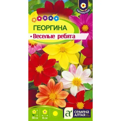 Георгина Веселые Ребята 0,5 Г Нашсад цветы однолетние Наш сад, пакеты  цветные Семена Продукция