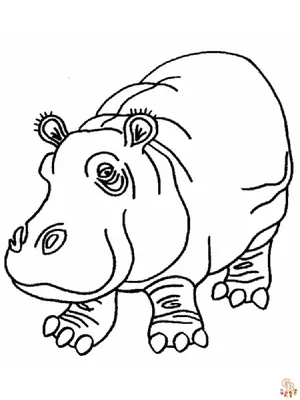 Веселые рисунки бегемота для раскрашивания для детей