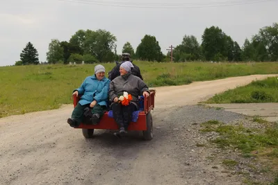 Три весёлые старушки сидят на …» — создано в Шедевруме