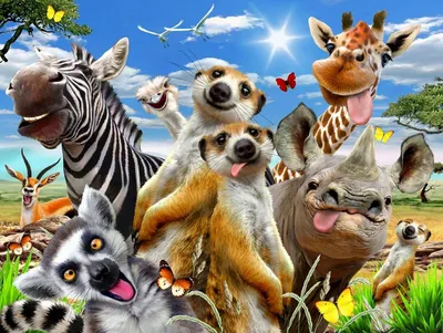 Самые смешные животные мира в 14 нелепых ситуациях - KP.RU