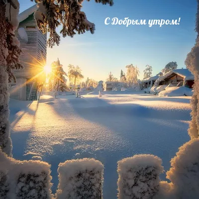 Милые зимние картинки доброе утро со снегом для родных