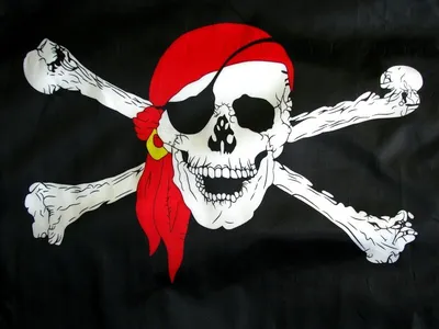 Веселый Роджер: как появился пиратский флаг | Факты Прошлого | Дзен