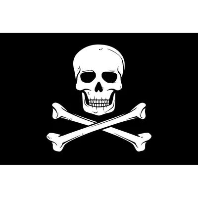 Пиратский флаг \"Весёлый Роджер\" 2. Размер 135x90 см. - купить Флаг по  выгодной цене в интернет-магазине OZON (297954676)