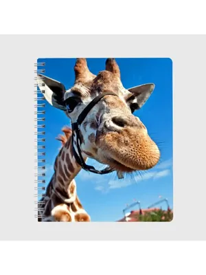 Смешной жираф стоковое фото. изображение насчитывающей бело - 38691358