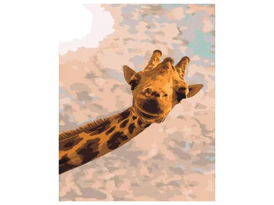Набор для рисования по номерам Веселый жираф, 40х50 см, акриловые краски,  кисточки 3-х видов, холст, крючки для подвешивания - купить в Баку. Цена,  обзор, отзывы, продажа
