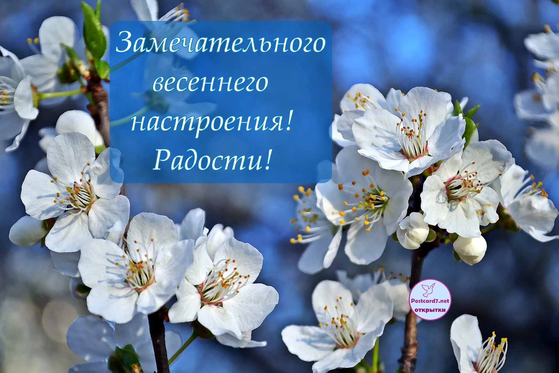 Весеннего настроения открытки