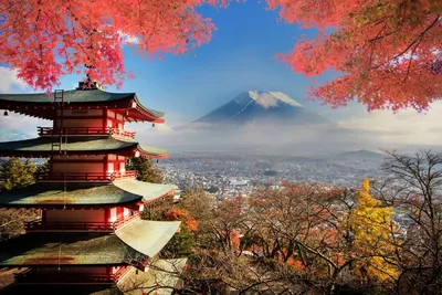 Гора и вишневые цвета Фудзи весной, Япония Стоковое Изображение -  изображение насчитывающей панорама, токио: 111406433