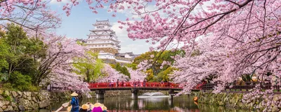 Япония: 3 самые красивые деревни о.Хонсю | Про страны и странности | Дзен