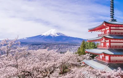 Японские непристойные «весенние картинки» сюнга — красота, чувственность и  вызывающая вульгарность. | ArtAlebrio | Дзен