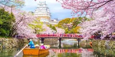 Япония весной - фото и картинки: 70 штук