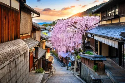 Япония весной - фото и картинки: 70 штук