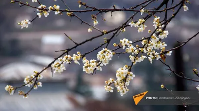 Весны этюды. Март... :: Александр Резуненко – Социальная сеть ФотоКто