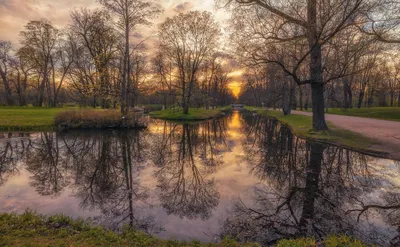 Весенний вечер. Photographer Konstantin Skorohodov