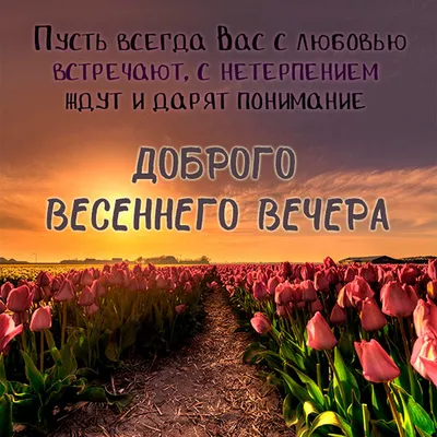 Тёплый весенний вечер... | Пикабу