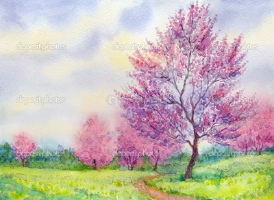 Акварель весенний пейзаж. Цветущее дерево в поле | Spring landscape,  Watercolor landscape, Landscape art quilts