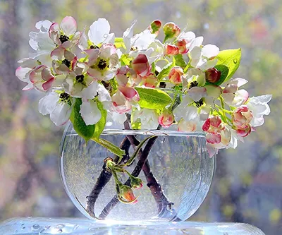 Купить 76 шт., весна-лето, наклейка на окно, акварель, тюльпан, цветы,  бабочка, цветочные узоры, окно | Joom