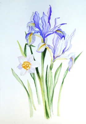 Акварельная картина Акварельный пейзаж озера и леса, весна, мягкие  естественные цвета № s36501 в ART-holst.com.ua