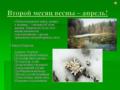 Woman.ru - #весна #цитатыwomanru #цитаты #апрель | Facebook