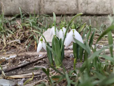 Весна близко! | Типичное Енакиево | ВКонтакте