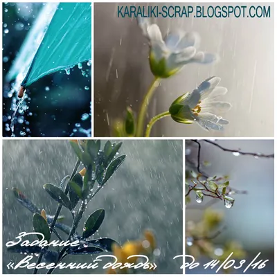 Плачущая весна: в Волгограде дождь будет идти целый день