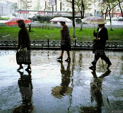 Весенний дождь — Фото №1334890